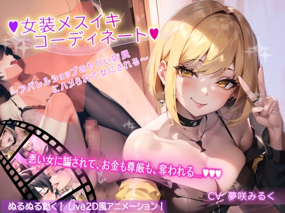 女装メスイキ・コーディネート パッケージ画像