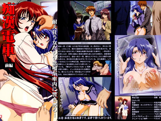 痴漢電車 パッケージ画像