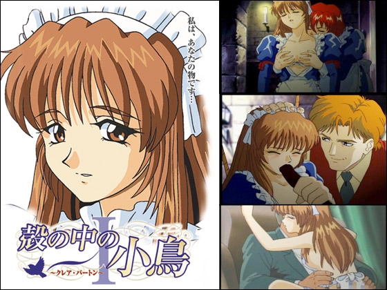 殻の中の小鳥 パッケージ画像