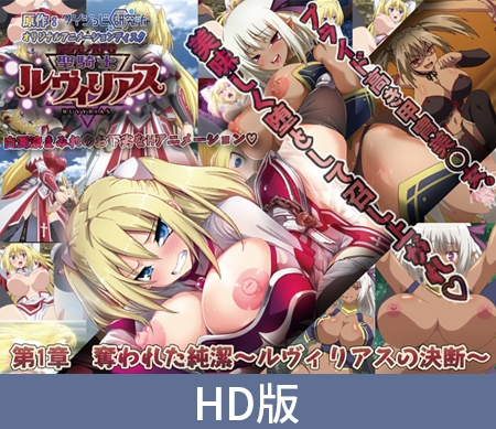 堕ちモノRPG 聖騎士ルヴィリアス パッケージ画像