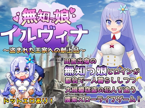 無知っ娘イルヴィナ パッケージ画像