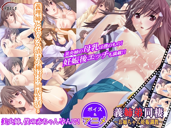 義姉弟同棲~妊娠調教~ パッケージ画像