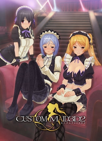 カスタムメイド3D2 パッケージ画像