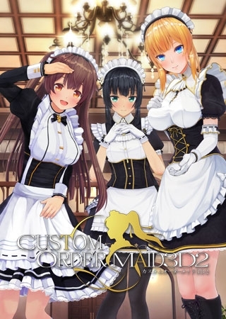 カスタムオーダーメイド3D2 パッケージ画像